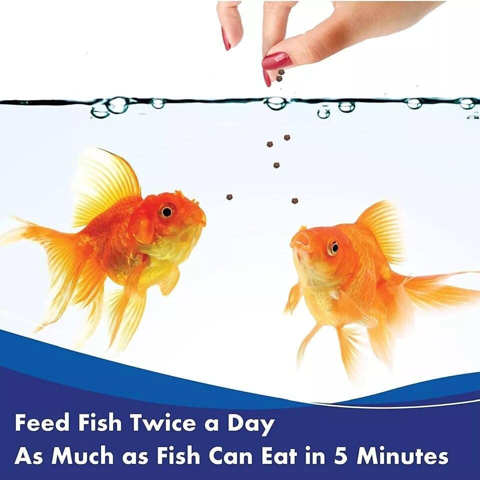 Aquarian Goldfish Pellets 100g – Balanced Diet for All Goldfish