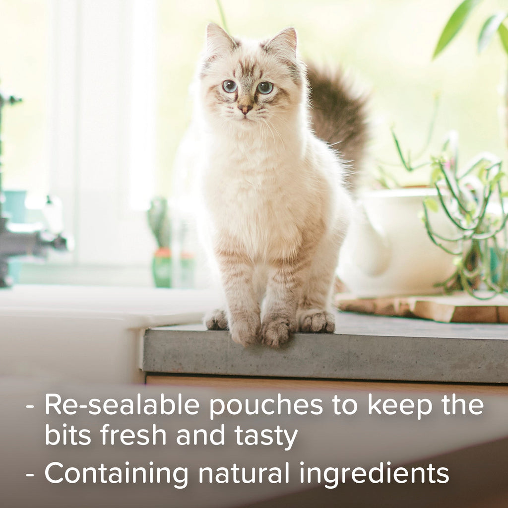 Beaphar Healthy Catnip Bits Soft Catnip Paste Filled Cat Treat Multi Packs