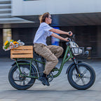 Fiido T1 Pro Utility Electric Bike