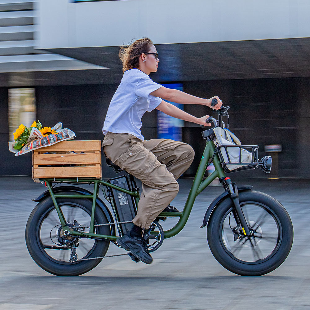 Fiido T1 Pro Utility Electric Bike