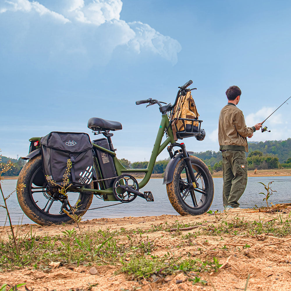 Fiido T1 Pro Utility Electric Bike