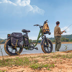 Fiido T1 Pro Utility Electric Bike