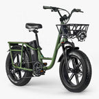 Fiido T1 Pro Utility Electric Bike