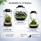 BioArt Drop 285 Black Nano Garden LED Plant Terrarium Dome