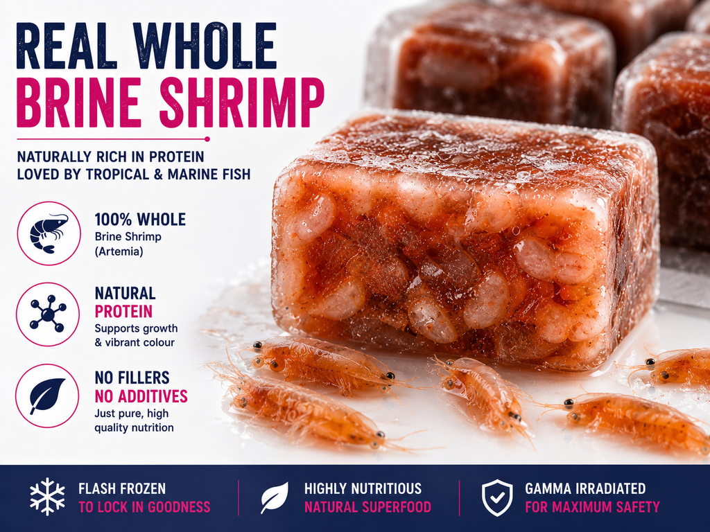 Aquacadabra Frozen Brine Shrimp 100g Fish Food Tropical Marine 5-40 Packs