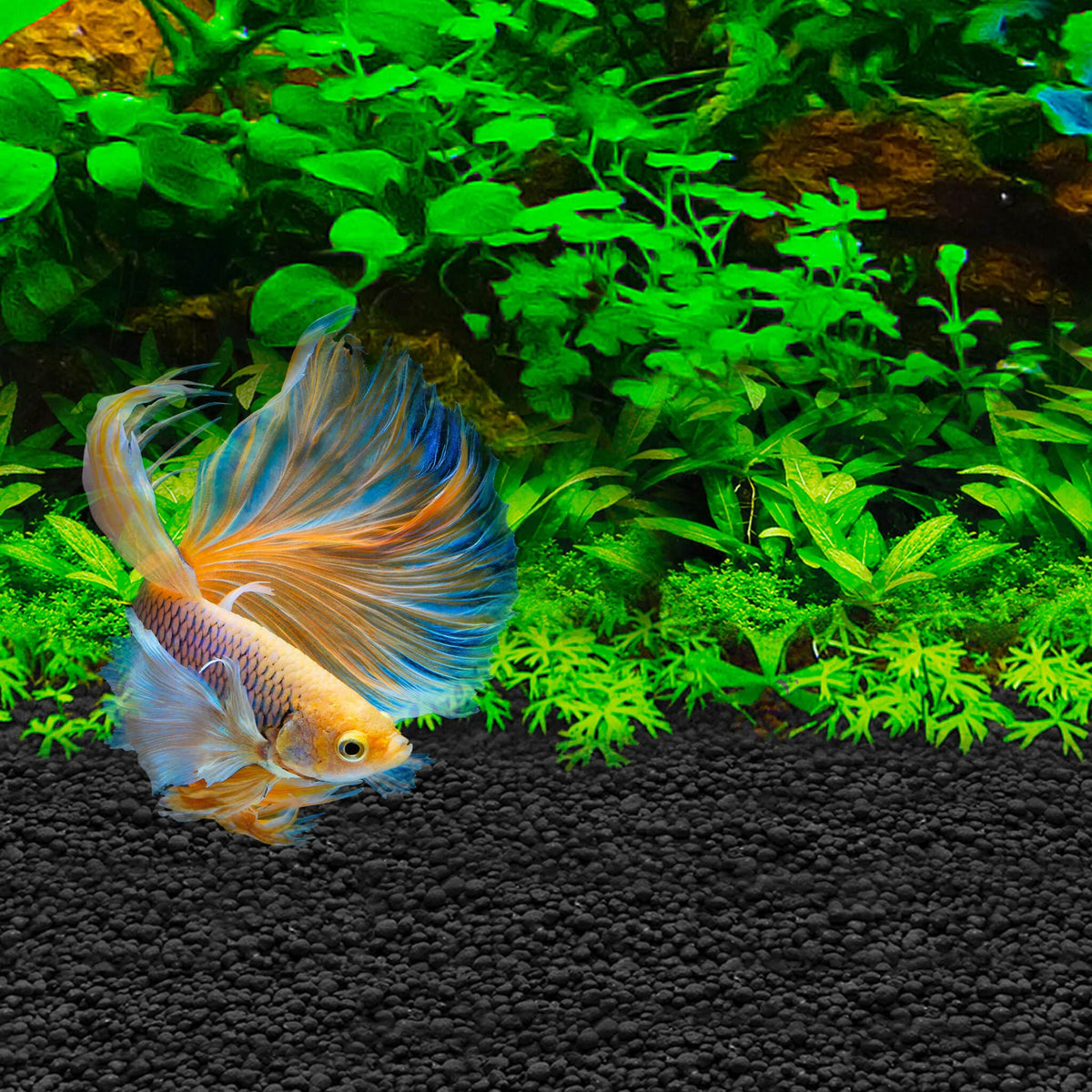 Fluval Betta 20L Replacement Filter Cartridges