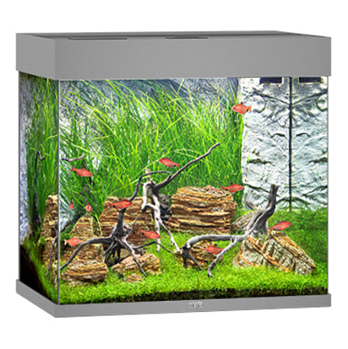 Juwel Lido 120 LED Aquarium with Filter & Heater