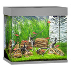 Juwel Lido 120 LED Aquarium with Filter & Heater