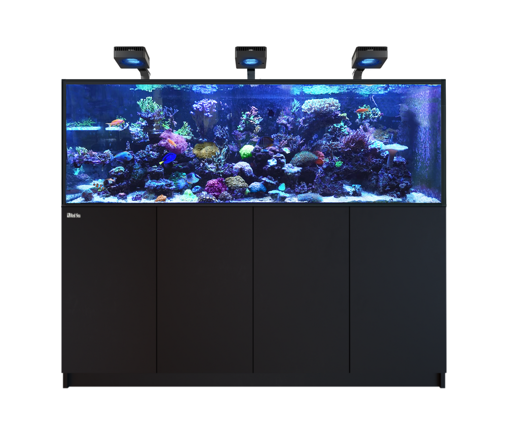 Red Sea Reefer MAX 750 G3 Aquarium