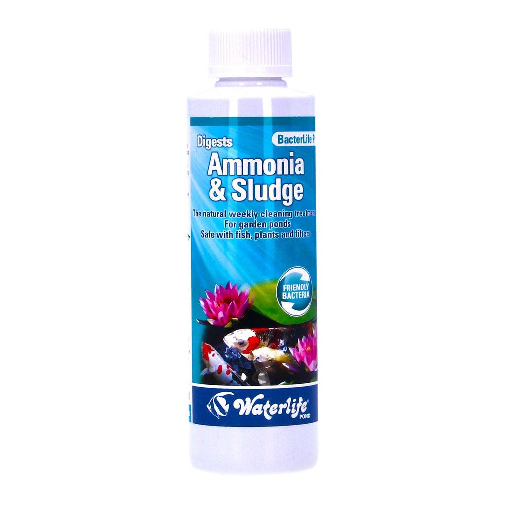 Waterlife BacterLife P Pond Bacteria Reducer (250ml/500ml/1L)