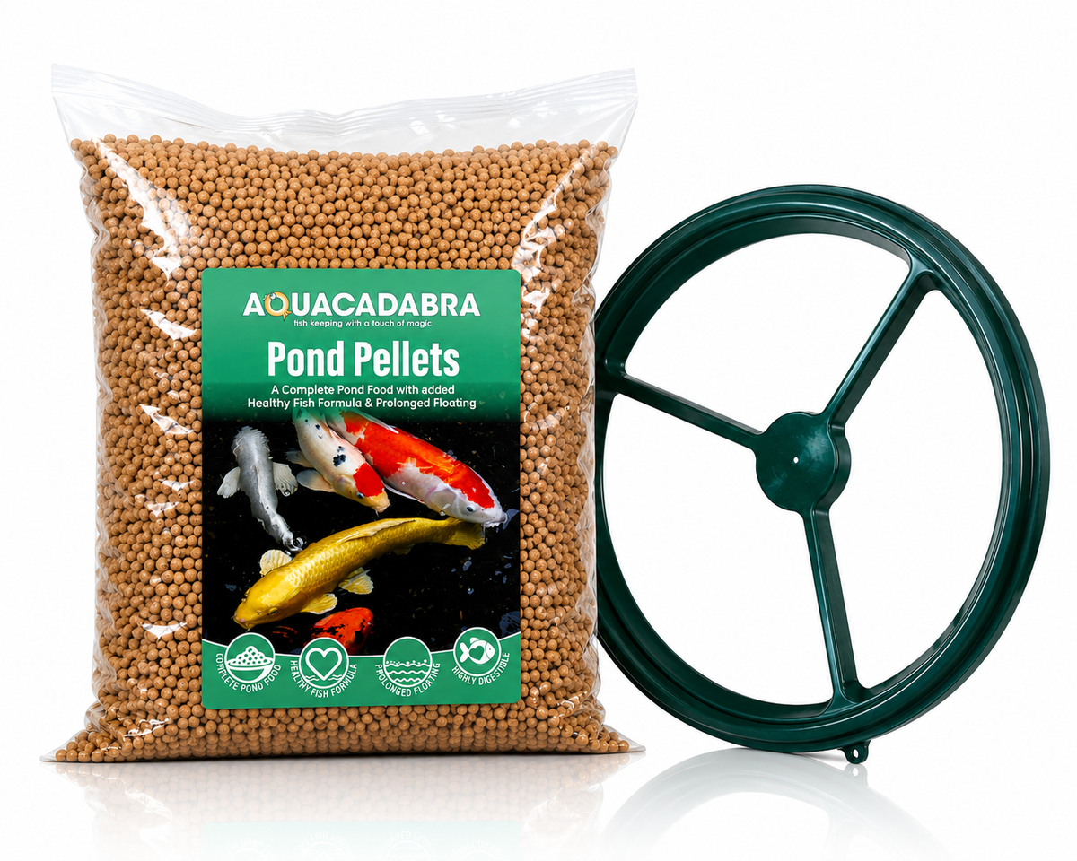 Aquacadabra Fun in the Sun Pond Feeding Bundle – Premium Pellets & Floating Feeding Ring