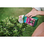 Westland Ericaceous 1L High Performance Liquid Plant Food