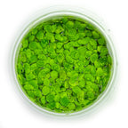 Tropica Spirodela polyrrhiza (Easy, Floating) 1-2-Grow!