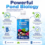Waterlife BacterLife P Pond Bacteria Reducer (250ml/500ml/1L)
