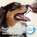 Beaphar Tooth Gel Liver Flavoured for Cats & Dogs 100g