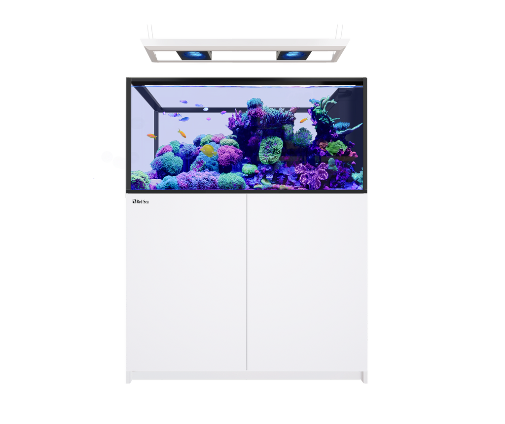 Red Sea Reefer MAX Peninsula 500 G3 Aquarium