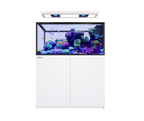 Red Sea Reefer MAX Peninsula 500 G3 Aquarium