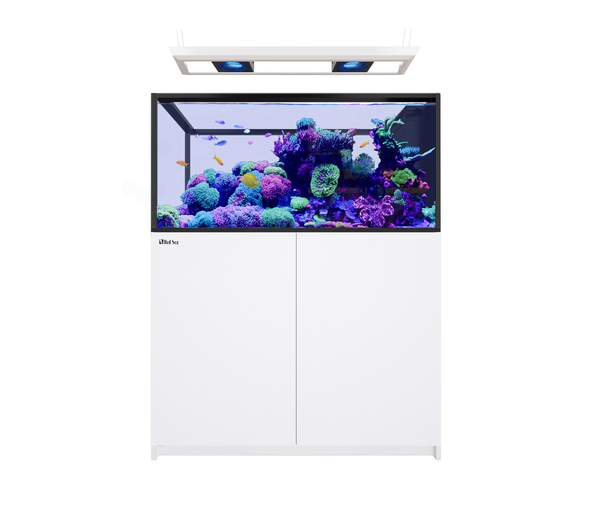 Red Sea Reefer MAX Peninsula 500 G3 Aquarium