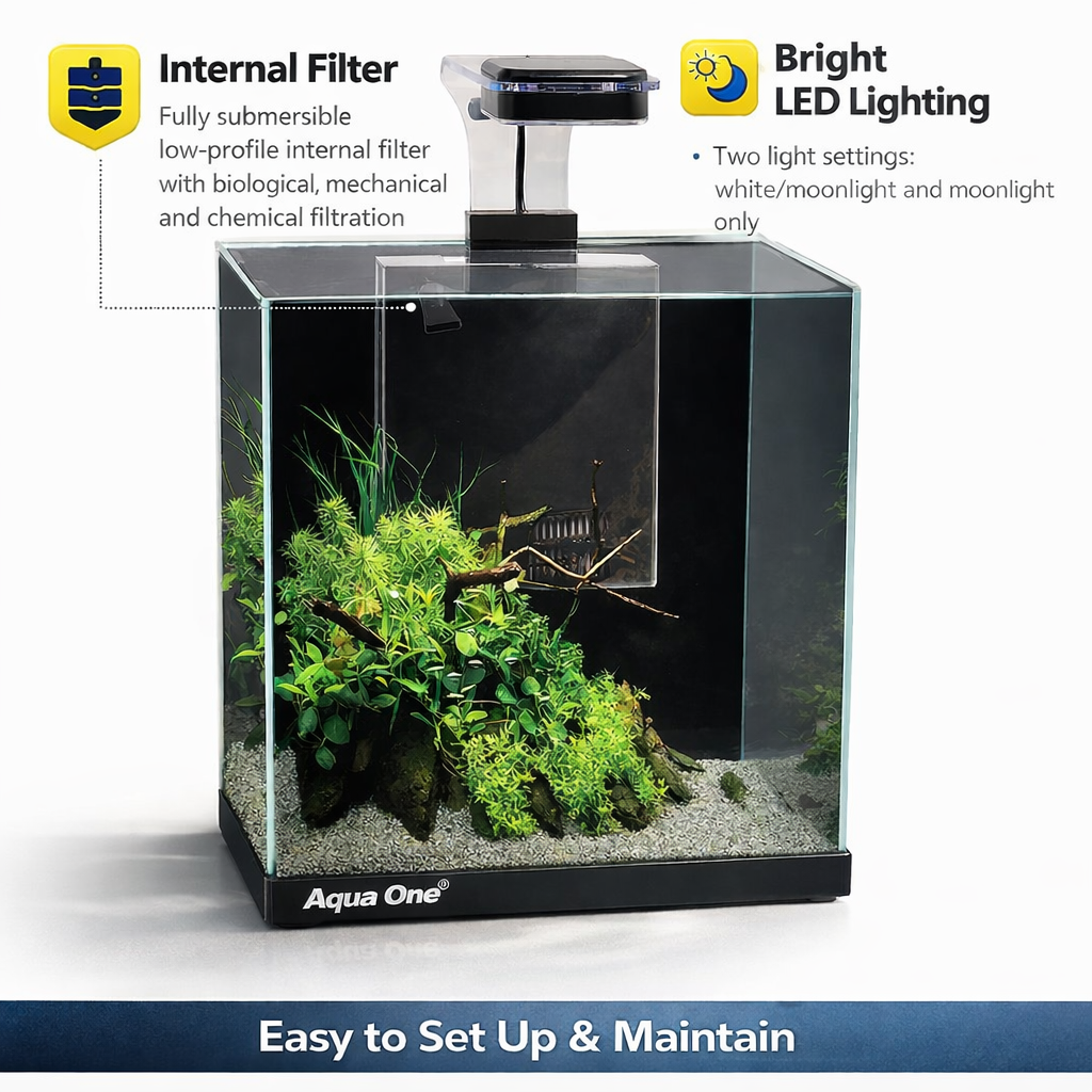 Aqua One Focus 23 Glass Aquarium 23L