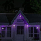 Stockholm Christmas Lights LED Light Petal Balls 10cm 5pc Twinkle Xmas Decor