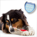 Beaphar Dental Kit Toothbrush & Paste for Cat & Dogs