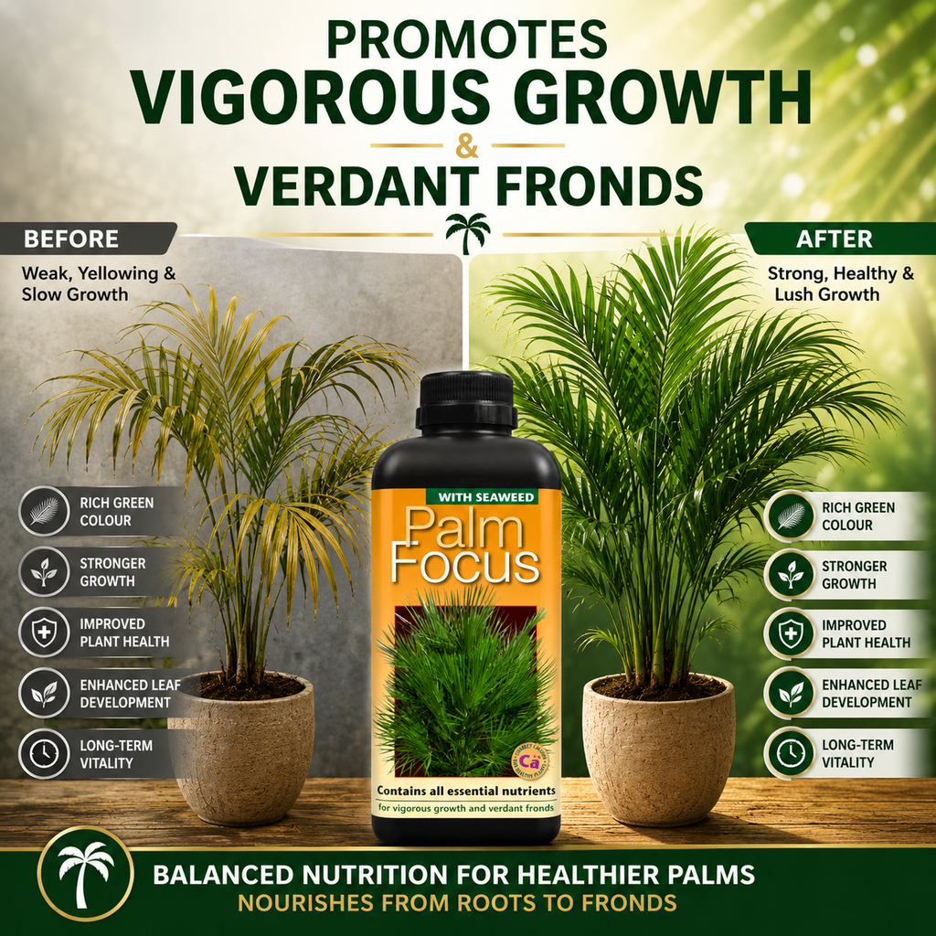 Palm Tree Fertiliser Feed For Healthy Vigorous Growth 1000 ml Palm Focus Garden