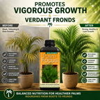 Palm Tree Fertiliser Feed For Healthy Vigorous Growth 1000 ml Palm Focus Garden