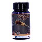 NT Labs Pro-f Tadpole Food 6 Weeks+, High Protein Pellets