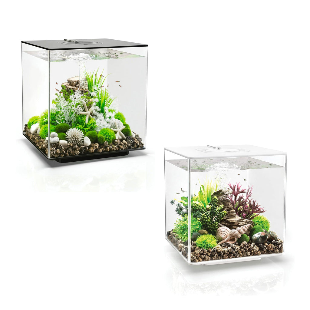 biOrb Cube 30 Acrylic Aquarium Fish Tank 30L with MCR LED – Black or White