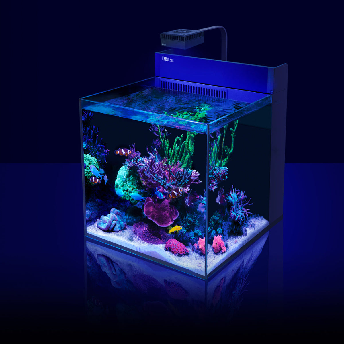 Red Sea MAX Nano XL G2 Aquarium – 125L Rimless Reef Tank