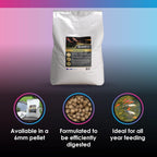 NT Labs EconoKoi Pond 10kg 6mm Pellets