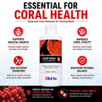 Red Sea Reef Colours B 500ml - R22053