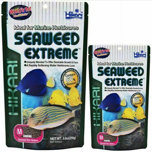 Hikari Seaweed Extreme Pellets for Marine Herbivores