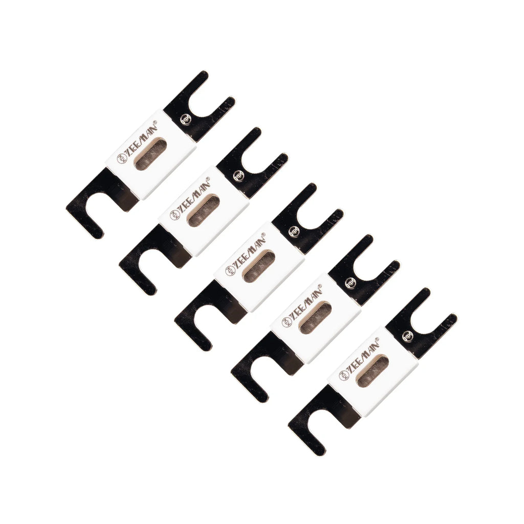 5x Victron 300A 80V ANL Fuse