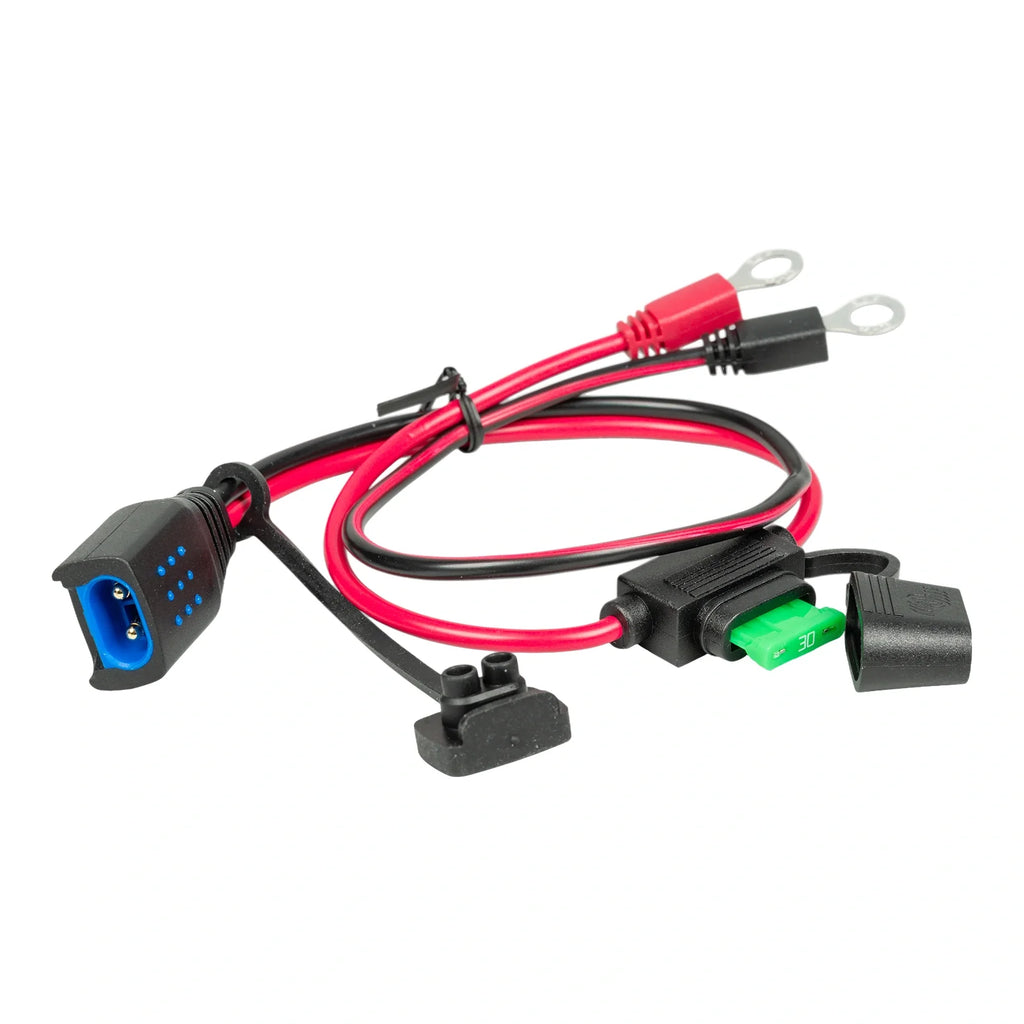 Victron M6 Eyelet Connector (w/ 30A ATO Fuse) (Suits IP65 Battery Charger)