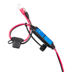 Victron Battery Indicator Eyelet (M8 eyelet / 30A ATO fuse) (Suits IP65 Battery Charger)