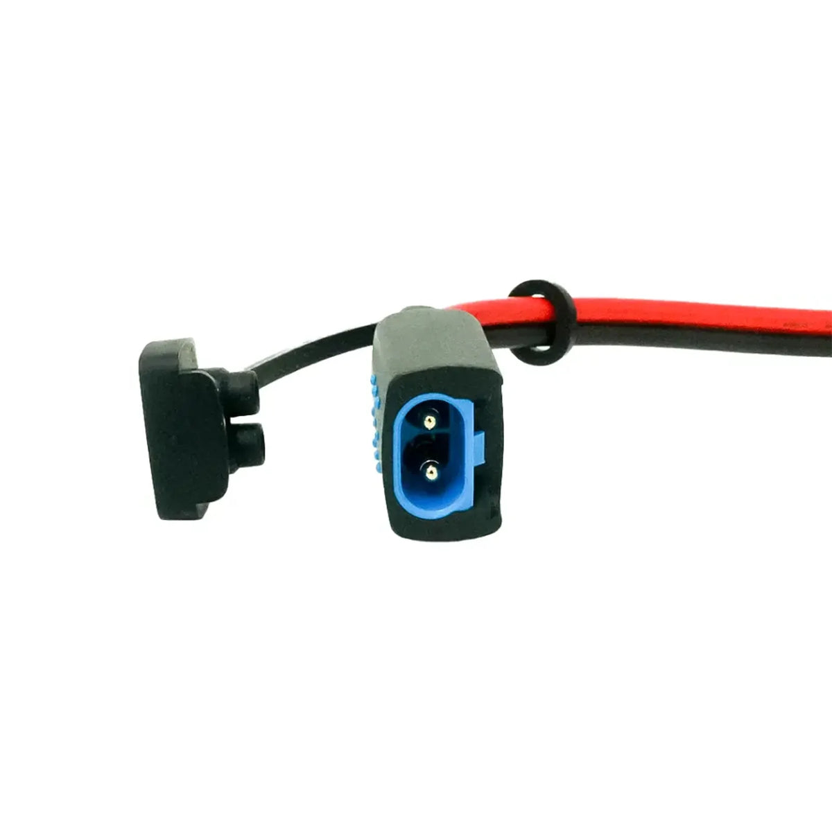 Victron M6 Eyelet Connector (w/ 30A ATO Fuse) (Suits IP65 Battery Charger)