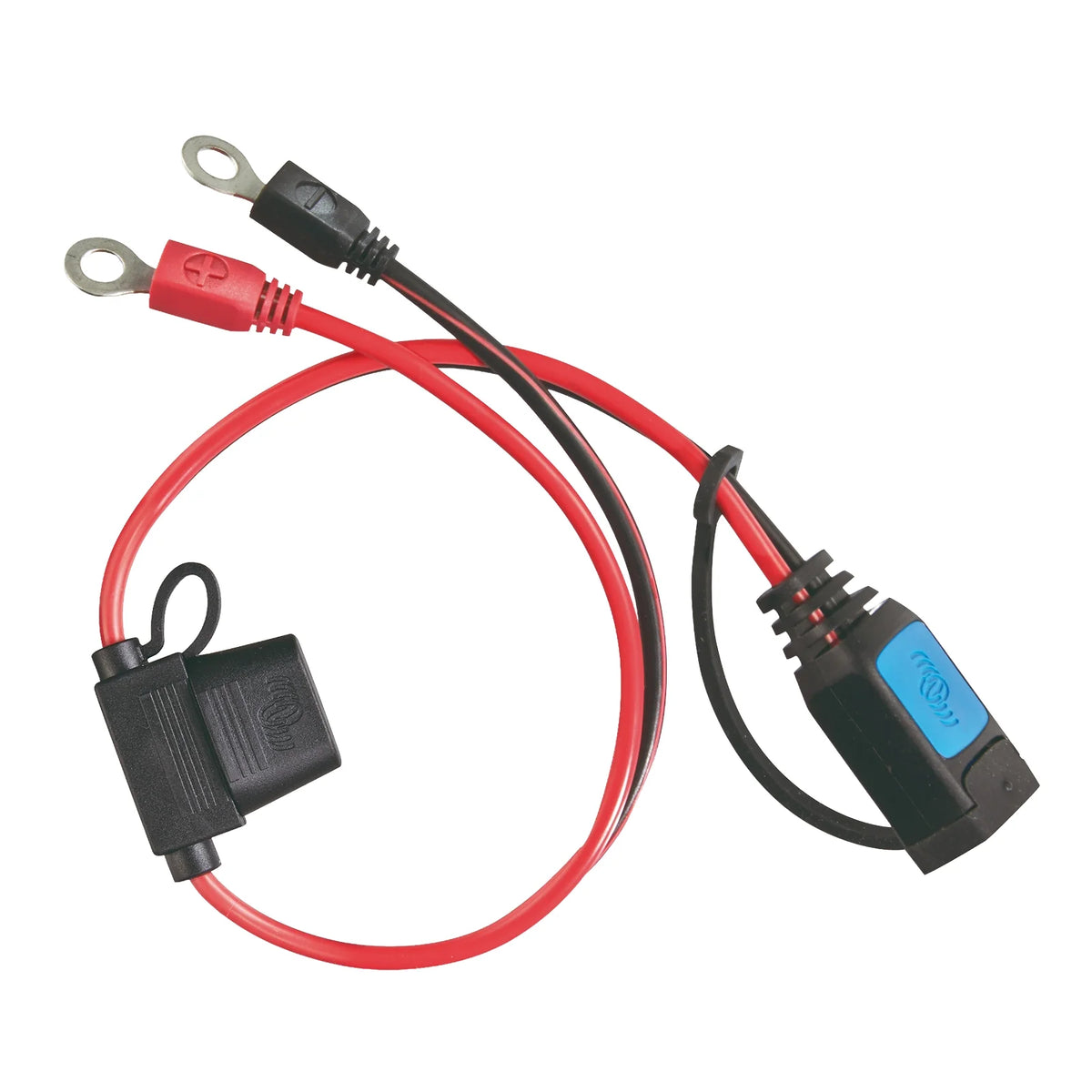 Victron M6 Eyelet Connector (w/ 30A ATO Fuse) (Suits IP65 Battery Charger)