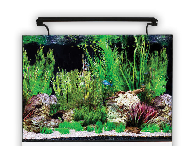 AquaNano 60 Aquarium 100L with LED & Filter