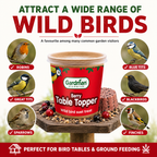 Gardman Table Toppers Berry High Energy Wild Bird Treats Food