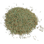 Gro-Sure Fast Acting Lawn Seed for Quick Germination