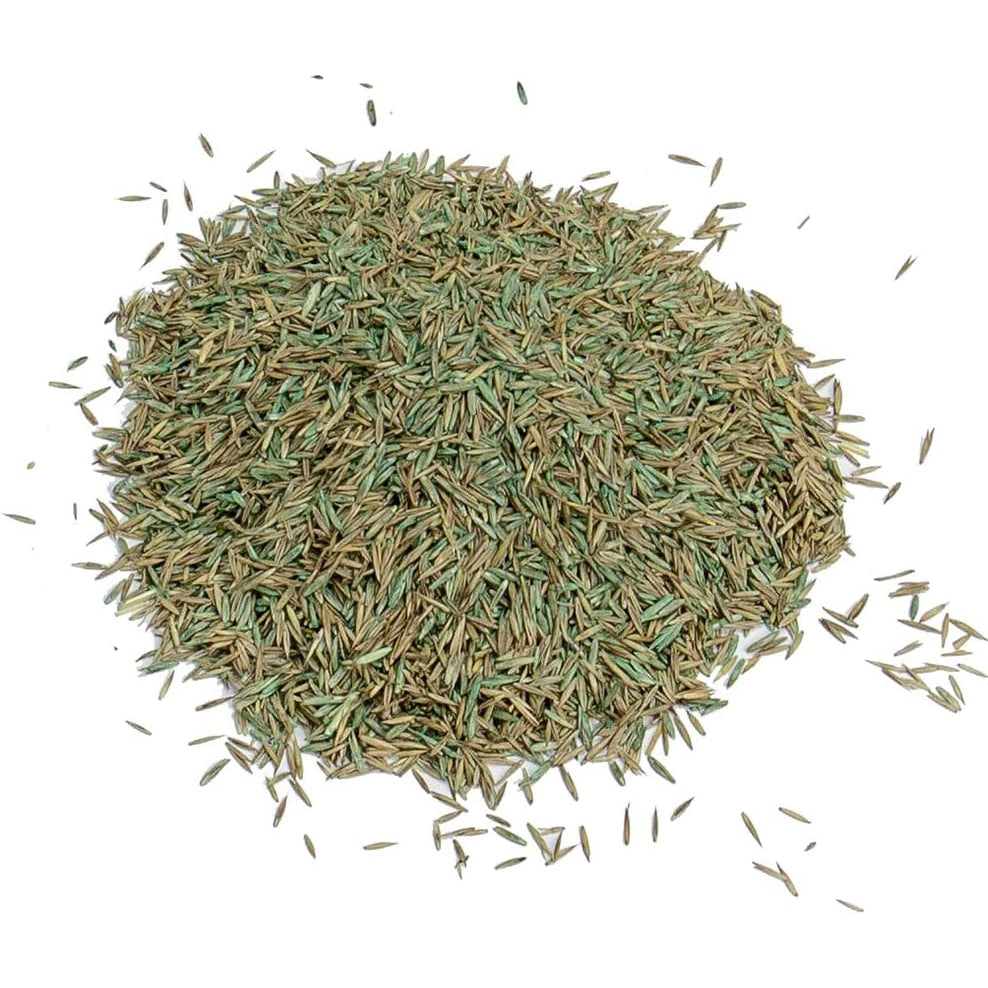 Gro-Sure Fast Acting Lawn Seed for Quick Germination