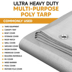 White/Silver Poly Tarp 10' x 12'