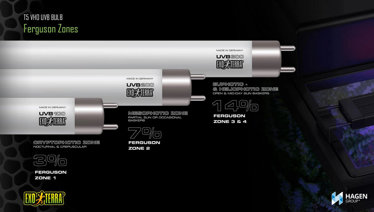 Exo Terra T5 VHO UVB Bulbs – Reptile Lighting Solution