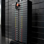 Dual Wall Mounted Cable Machine / Pulley Set (2 x 100kg)