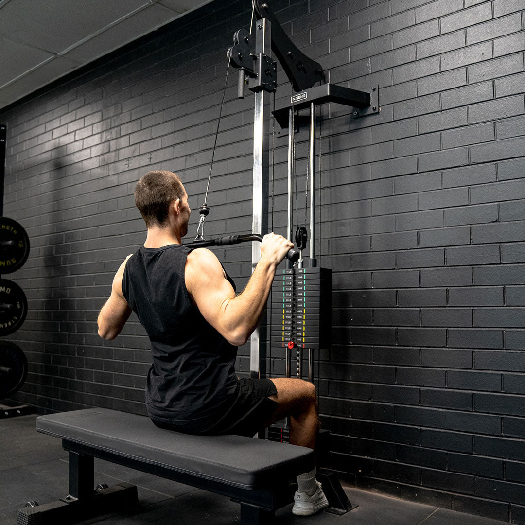Dual Wall Mounted Cable Machine / Pulley Set (2 x 100kg)