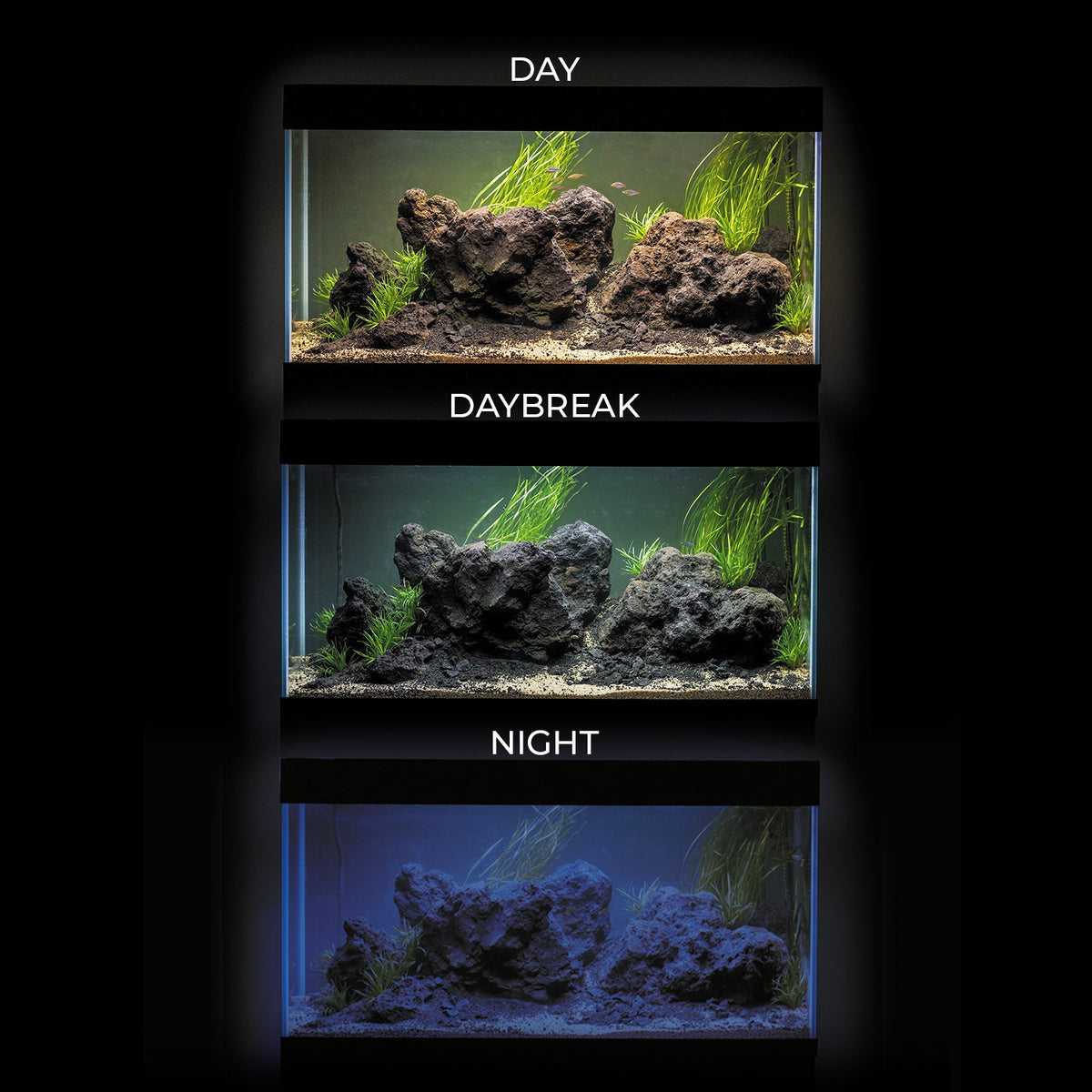 Aquael Optiset 125 Aquarium & Cabinets