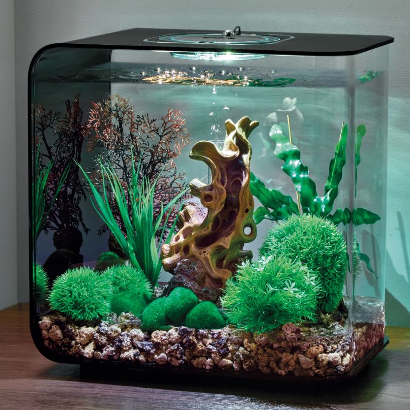 Aquarium Fish Tank biOrb Decor Set 30L Wood On Stone
