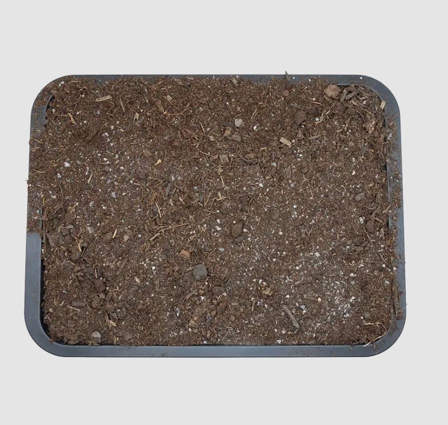 Arcadia Earth Mix Arid 10L Reptile Bio Active Vivarium Desert Soil Substrate