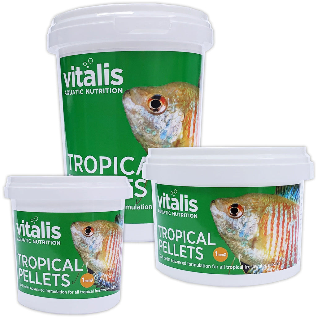 Vitalis XS Tropical Fish Pellets - Complete Nutritional Feed